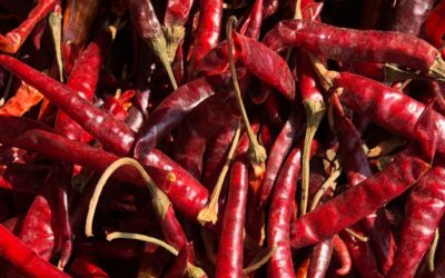 El picante en la Gastronomía de México